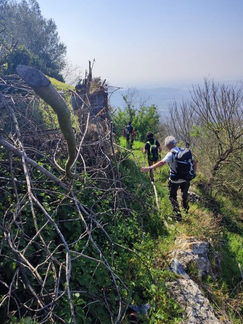 È iniziato il ripristino della via Francigena in Campania: 10 tappe fra borghi antichi, parchi regionali e natura, da Caserta a Benevento. È iniziato il ripristino della via Francigena in Campania: 10 tappe fra borghi antichi, parchi regionali e natura, da Caserta a Benevento.