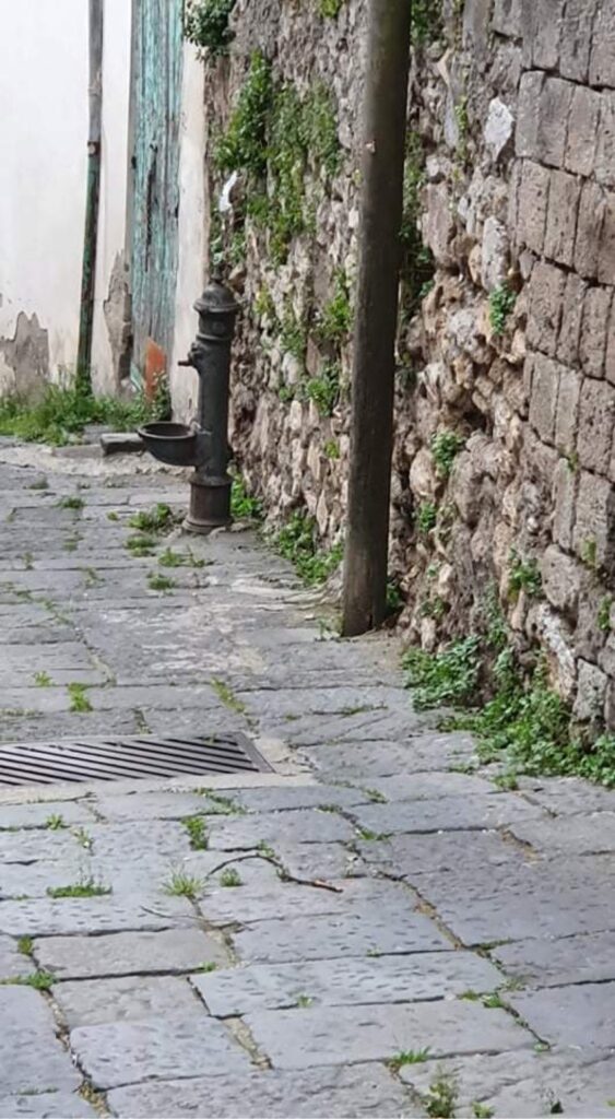 MUGNANO DEL CARDINALE. Via Salita del Ginnasio, i residenti chiedono più pulizia