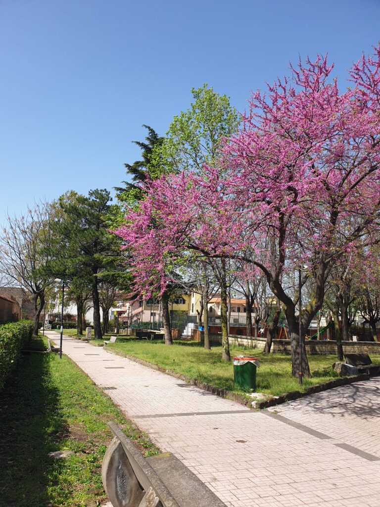 BAIANO (AV). E’ primavera: la Villa Comunale si veste a festa.