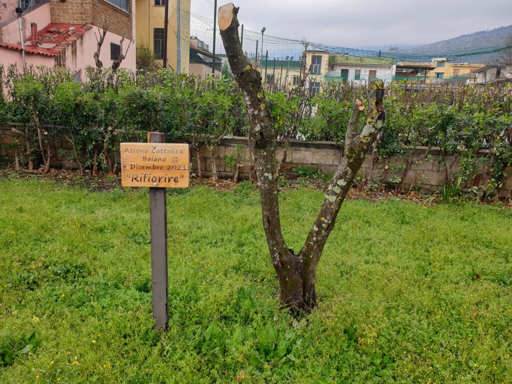 BAIANO (AV). E’ primavera: la Villa Comunale si veste a festa.