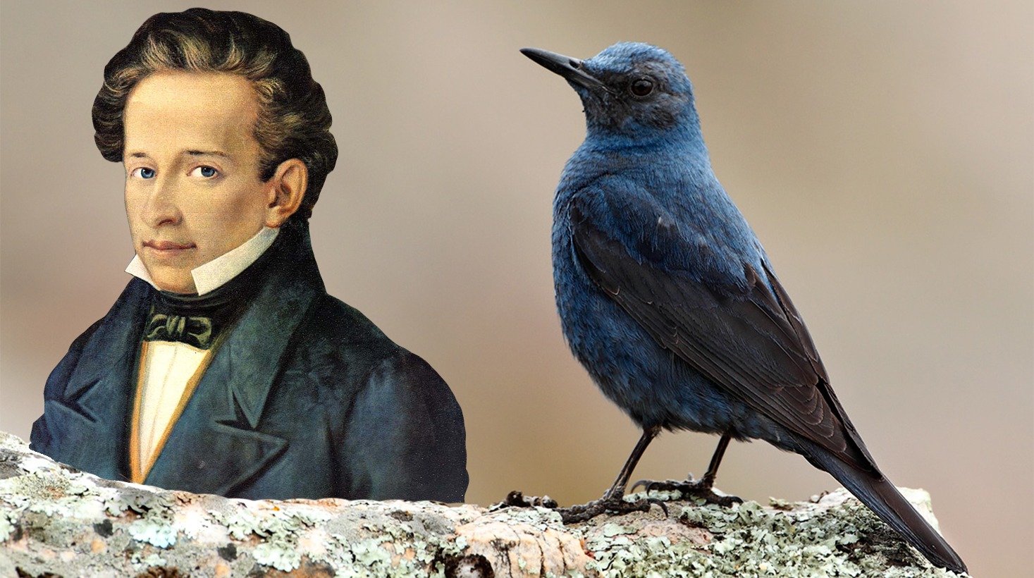 IL PASSERO SOLITARIO - LA POETICA DI LEOPARDI - binews.it