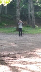 Ambiente e vivibilità. I Grandi patriarchi del Parco regionale del Partenio \  Scatta il Censimento dei simboli storici  del patrimonio naturalistico del territorio