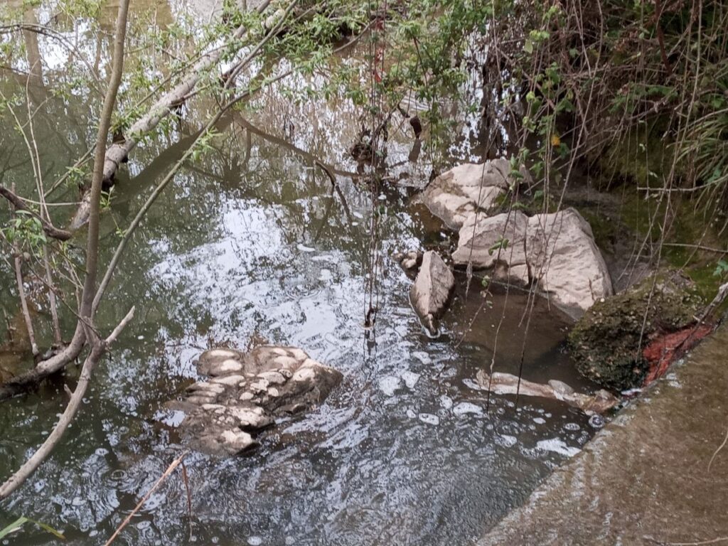Flumeri (AV), Valle Ufita prosegue linquinamento ambientale della valle e del fiume Ufita