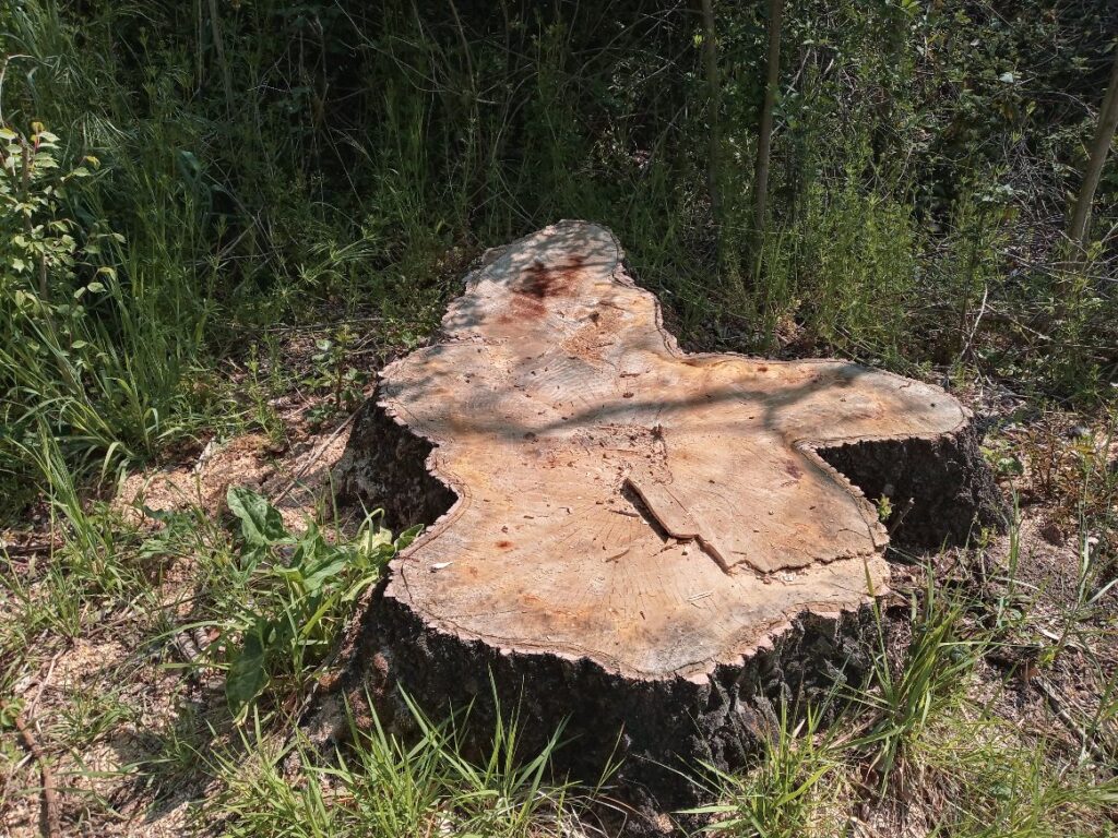 Flumeri (AV), Valle Ufita prosegue linquinamento ambientale della valle e del fiume Ufita