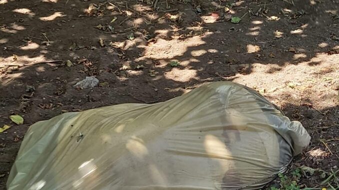 284482682_2864618047164778_3898941843839523254_n