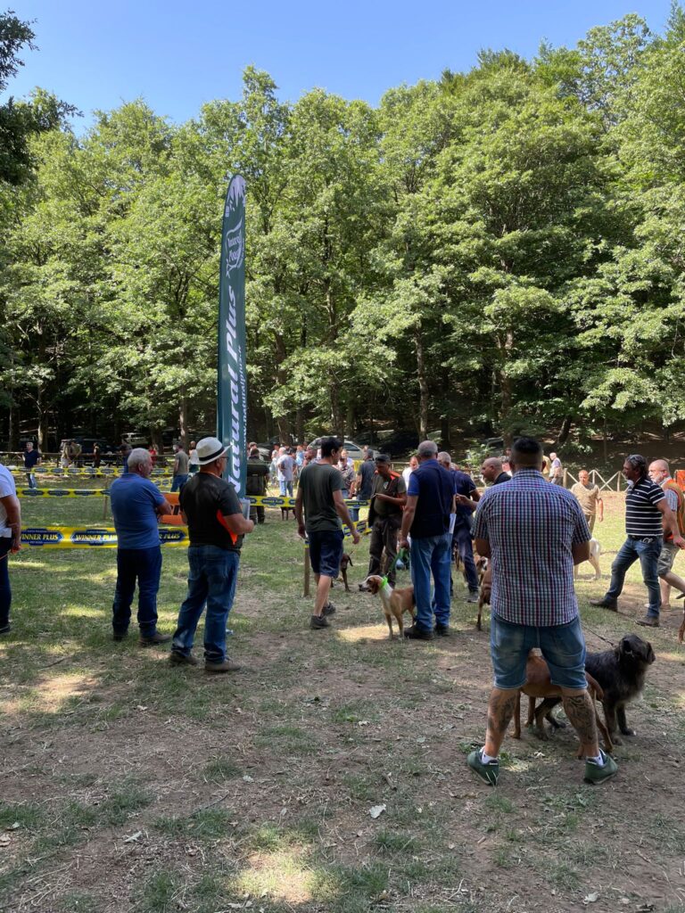MUGNANO. XXII Raduno Nazionale per cani da seguita. Foto