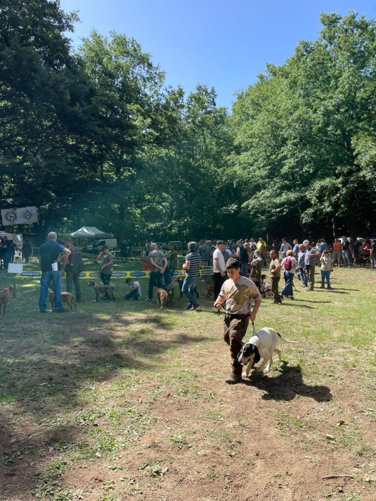 MUGNANO. XXII Raduno Nazionale per cani da seguita. Foto