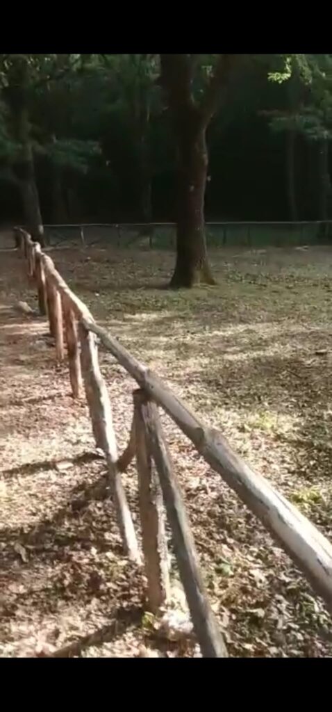 MUGNANO.  Ritorna il fascino delle aree montane del paese, grazie ai volontari e l’impegno della sua amministrazione.