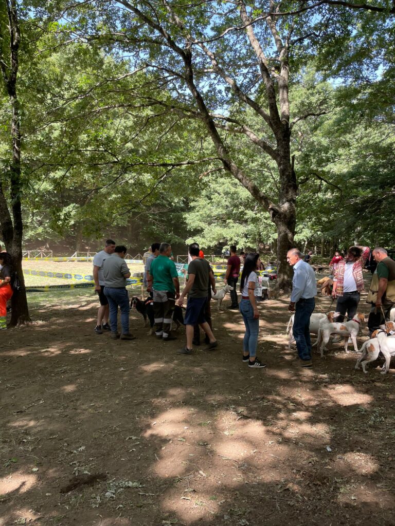 MUGNANO. XXII Raduno Nazionale per cani da seguita. Foto