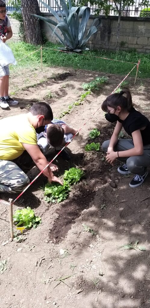 AVELLA. Mostra di Scienze e progetto Orto didattico per gli alunni dell’I.C. “Mons. P.Guerriero” la scuola non si ferma!!!