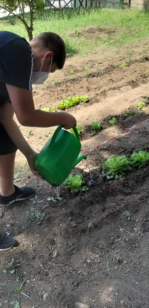 AVELLA. Mostra di Scienze e progetto Orto didattico per gli alunni dell’I.C. “Mons. P.Guerriero” la scuola non si ferma!!!