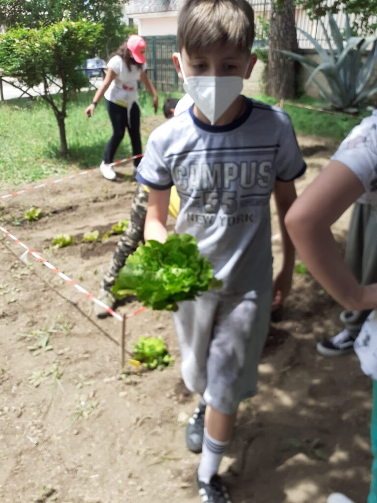 AVELLA. Mostra di Scienze e progetto Orto didattico per gli alunni dell’I.C. “Mons. P.Guerriero” la scuola non si ferma!!!