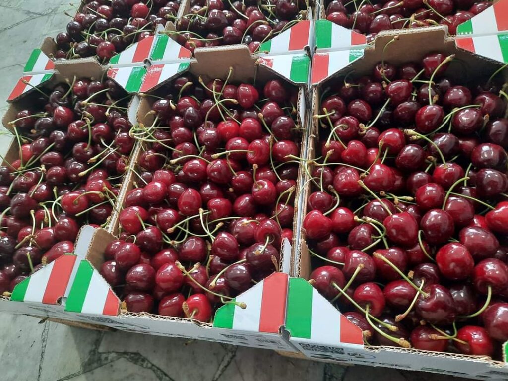 Forino (Av): Ciliegia BARON PICELLA, un marchio IGP presente su tantissimi mercati italiani grazie all Azienda Agricola De Maio