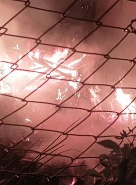 294425949_551104116718844_4885281799530062327_n