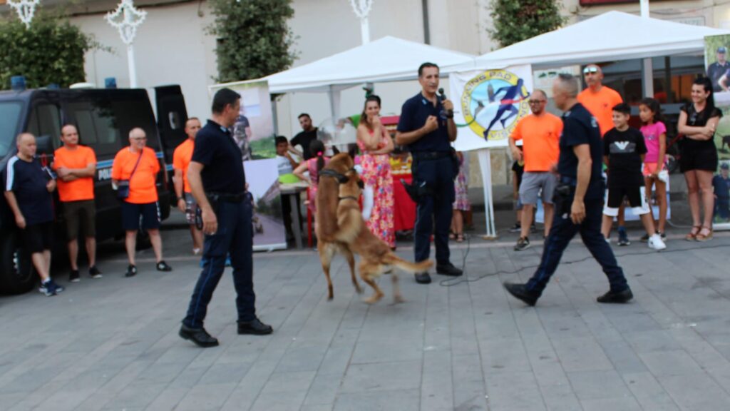 Visciano   Legalità in piazza con la Running Padre Arturo DOnofrio Visciano