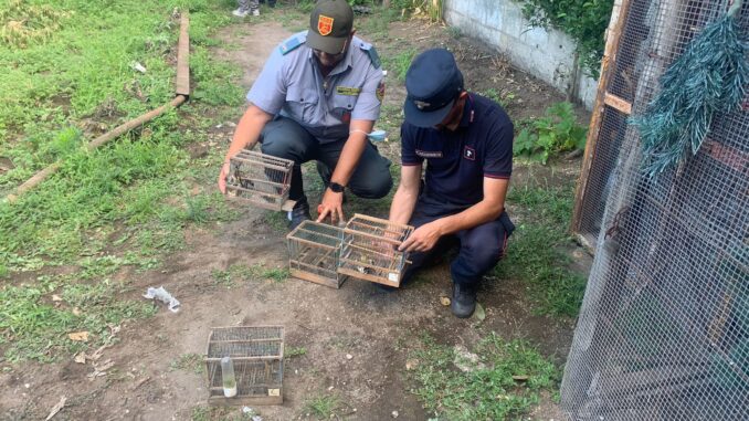 B0CD111A-E0E2-4DAA-B07F-5D519B51DA88