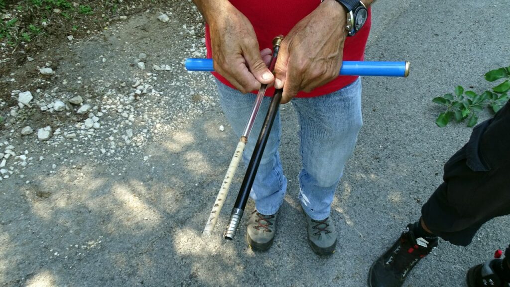 Parco del Partenio e Monti Avella. Obiettivi in sinergia, conservazione, tutela genetica e bio diversità:l’Ontano napoletano sotto osservazione del Consiglio nazionale delle ricerche