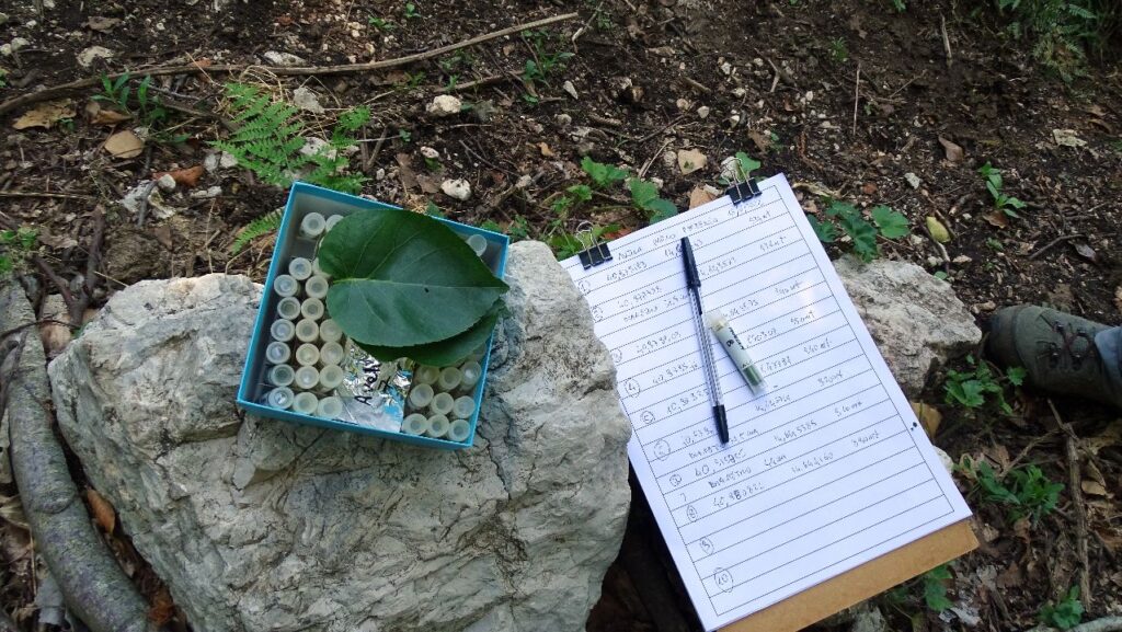 Parco del Partenio e Monti Avella. Obiettivi in sinergia, conservazione, tutela genetica e bio diversità:l’Ontano napoletano sotto osservazione del Consiglio nazionale delle ricerche