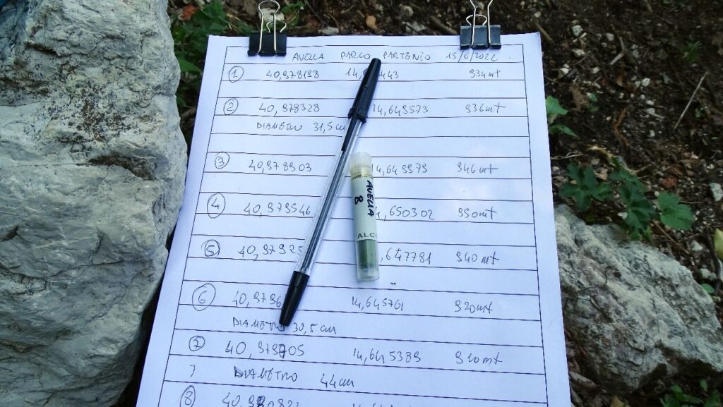 Parco del Partenio e Monti Avella. Obiettivi in sinergia, conservazione, tutela genetica e bio diversità:l’Ontano napoletano sotto osservazione del Consiglio nazionale delle ricerche