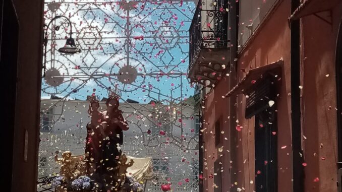 WhatsApp Image 2022-07-10 at 21.10.38