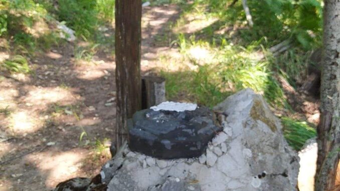 WhatsApp Image 2022-07-25 at 15.09.26