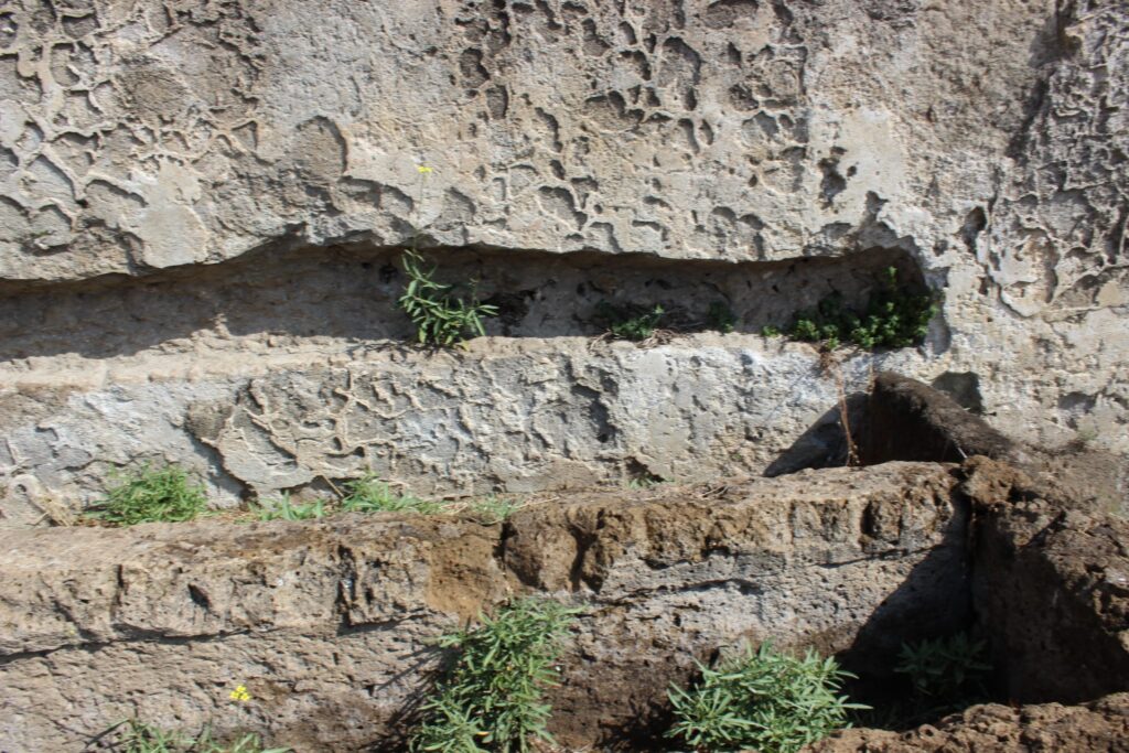 Avella  Visita ai monumenti da parte dei membri del Centro 66 dellArciconfraternita Universale di Santa Filomena