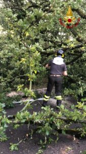 IRPINIA. Maltempo, diversi interventi dei Vigili del fuoco durante la notte IRPINIA. Maltempo, diversi interventi dei Vigili del fuoco durante la notte