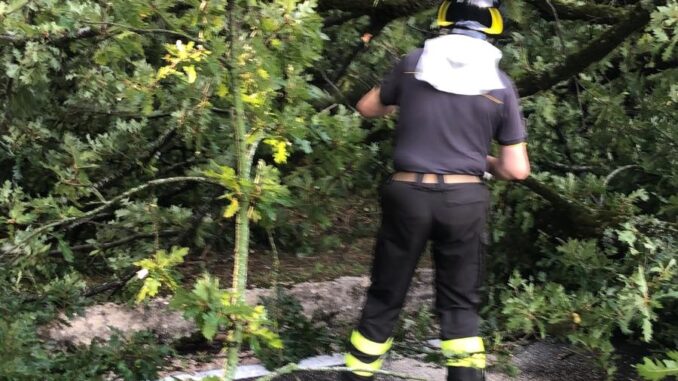 617D2B75-B054-45EE-A9EC-5822866506A2