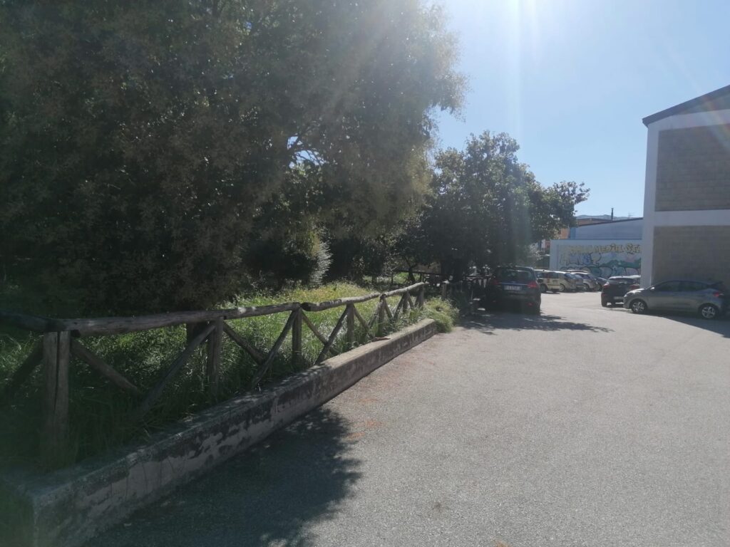 AVELLA. Inizia la scuola, un componente del consiglio di istituto chiede la pulizia delle aree verdi