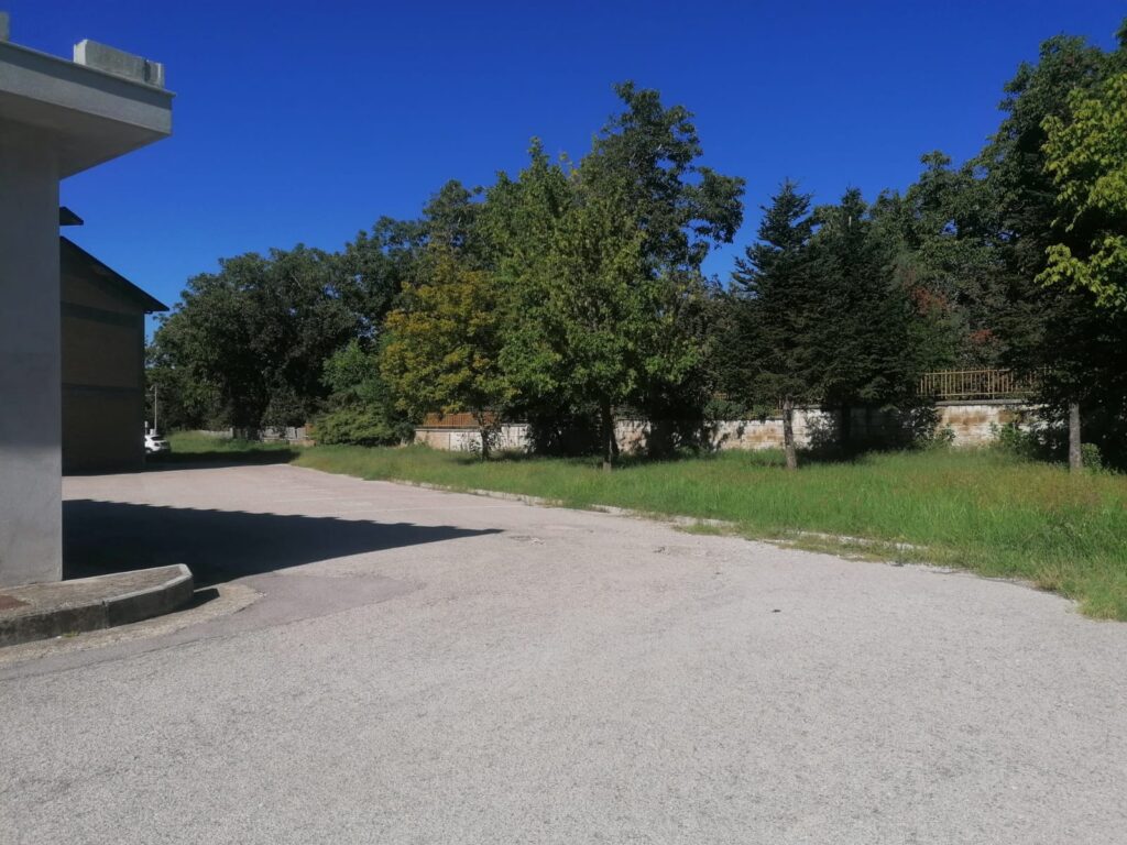 AVELLA. Inizia la scuola, un componente del consiglio di istituto chiede la pulizia delle aree verdi