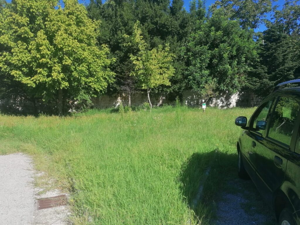 AVELLA. Inizia la scuola, un componente del consiglio di istituto chiede la pulizia delle aree verdi