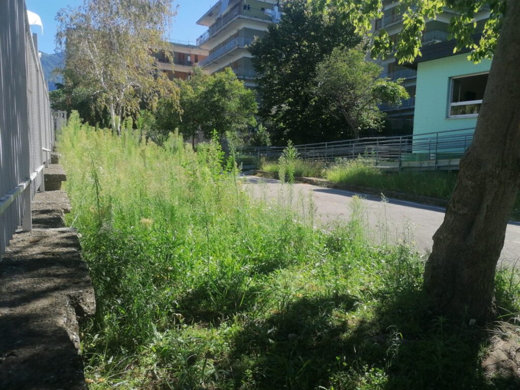 AVELLA. Inizia la scuola, un componente del consiglio di istituto chiede la pulizia delle aree verdi