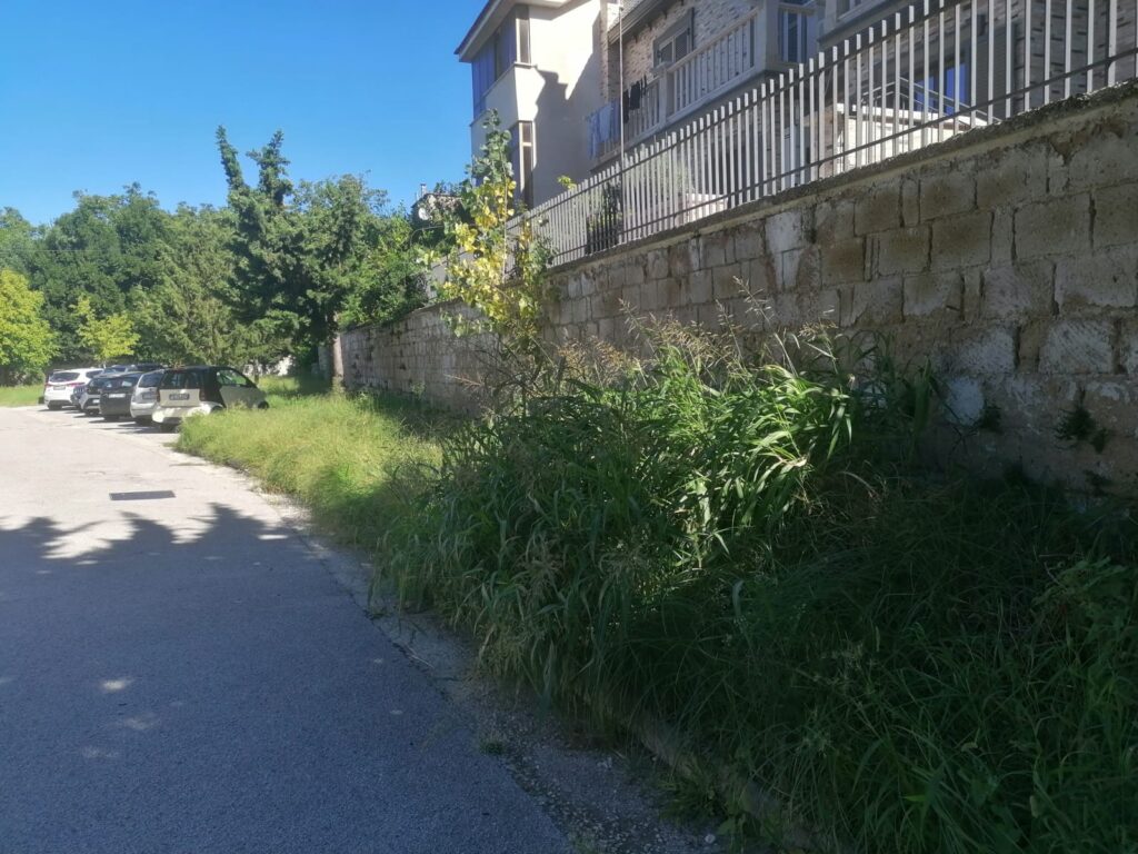 AVELLA. Inizia la scuola, un componente del consiglio di istituto chiede la pulizia delle aree verdi