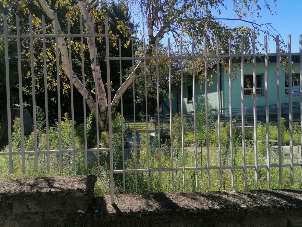 AVELLA. Inizia la scuola, un componente del consiglio di istituto chiede la pulizia delle aree verdi