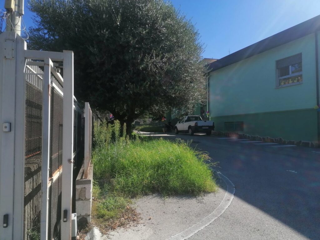 AVELLA. Inizia la scuola, un componente del consiglio di istituto chiede la pulizia delle aree verdi