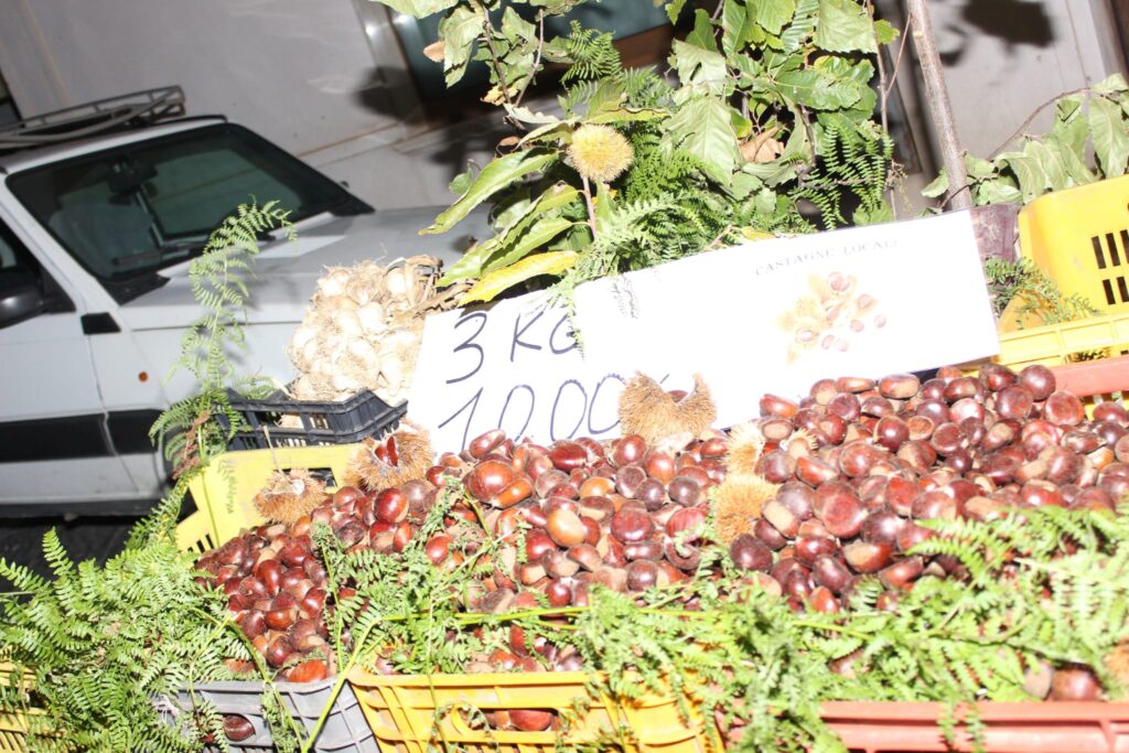 AVELLA. Le foto di un sabato di festa girando per la sagra della Castagna e della nocciola