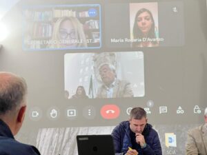 AVELLA. Il consiglio comunale approva la costruzione di un Forno crematorio. No alle telecamere per la ripresa del consiglio