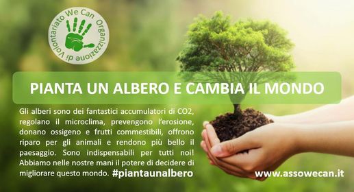 311276399_504575651222971_158106020098888575_n