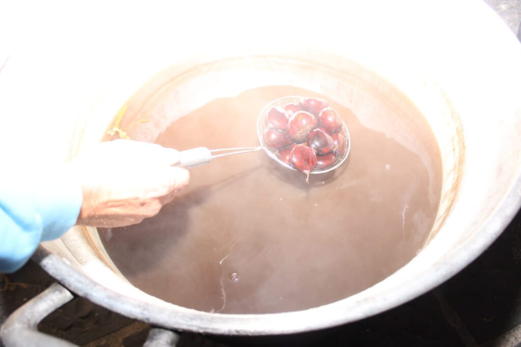 AVELLA. Le foto di un sabato di festa girando per la sagra della Castagna e della nocciola