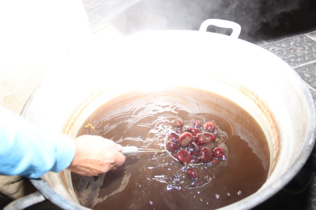 AVELLA. Le foto di un sabato di festa girando per la sagra della Castagna e della nocciola