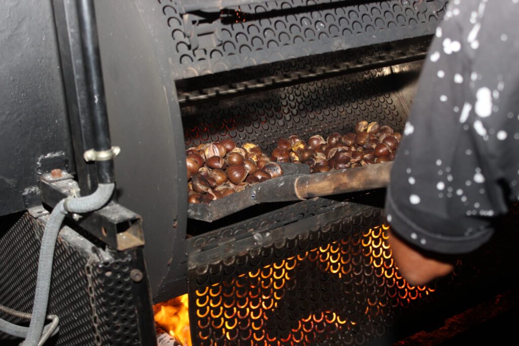 AVELLA. Le foto di un sabato di festa girando per la sagra della Castagna e della nocciola