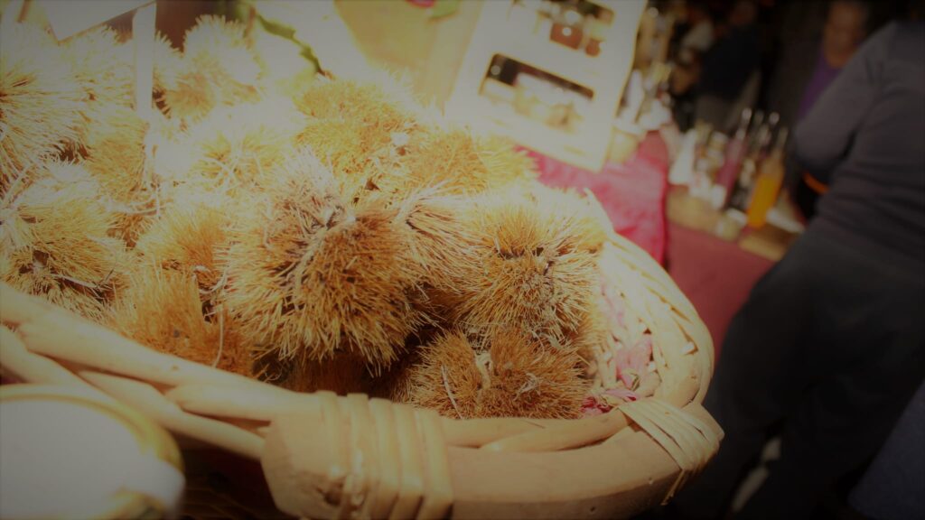 AVELLA. Le foto di un sabato di festa girando per la sagra della Castagna e della nocciola