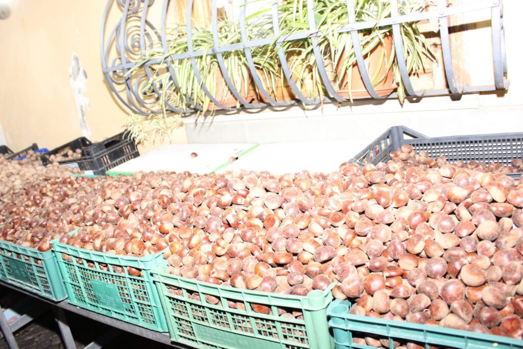 AVELLA. Le foto di un sabato di festa girando per la sagra della Castagna e della nocciola