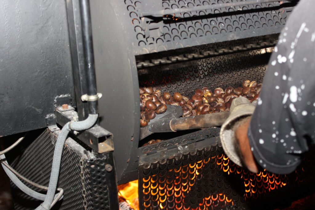AVELLA. Le foto di un sabato di festa girando per la sagra della Castagna e della nocciola