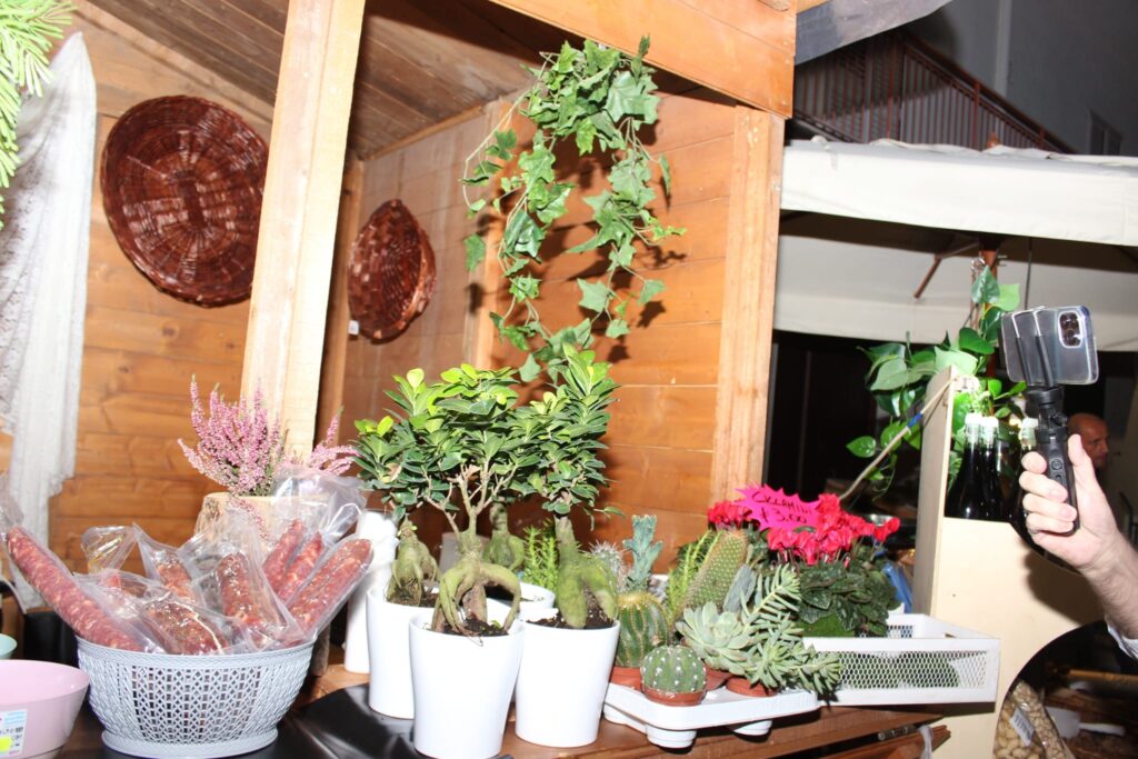 AVELLA. Le foto di un sabato di festa girando per la sagra della Castagna e della nocciola