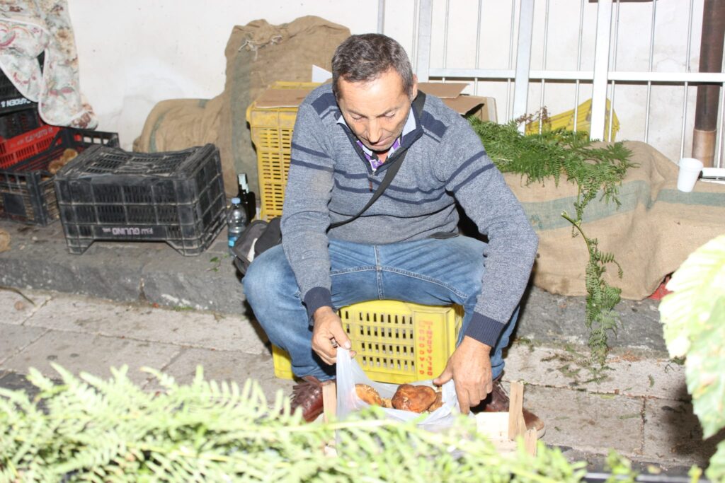 AVELLA. Le foto di un sabato di festa girando per la sagra della Castagna e della nocciola