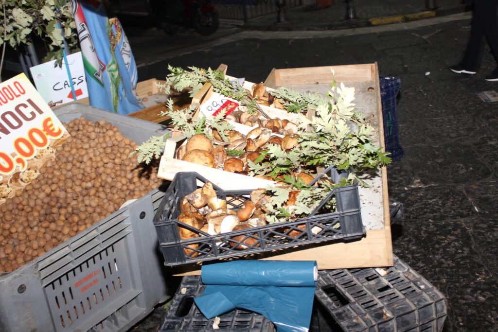 AVELLA. Le foto di un sabato di festa girando per la sagra della Castagna e della nocciola