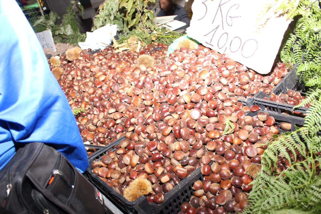 AVELLA. Le foto di un sabato di festa girando per la sagra della Castagna e della nocciola