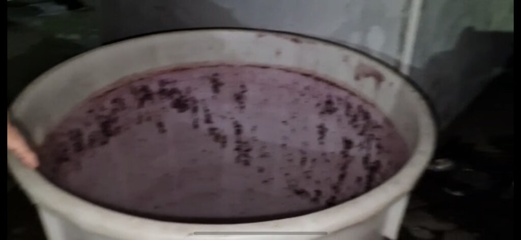 AVELLA. Famiglia intossicata dai fumi alcolici della vendemmia. Tre finiscono in ospedale. Video