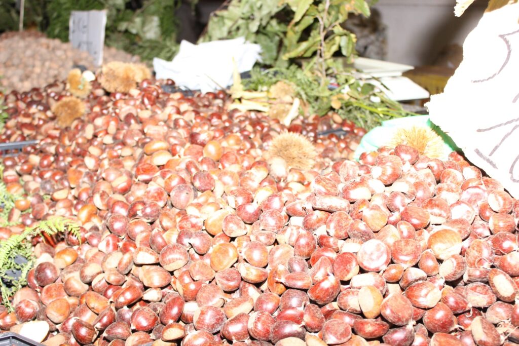 AVELLA. Le foto di un sabato di festa girando per la sagra della Castagna e della nocciola